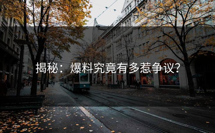 揭秘：爆料究竟有多惹争议？