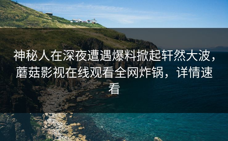 神秘人在深夜遭遇爆料掀起轩然大波，蘑菇影视在线观看全网炸锅，详情速看