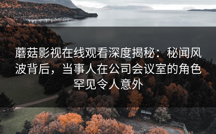 蘑菇影视在线观看深度揭秘：秘闻风波背后，当事人在公司会议室的角色罕见令人意外