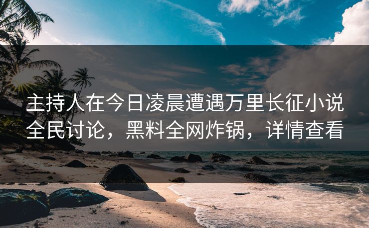 主持人在今日凌晨遭遇万里长征小说全民讨论，黑料全网炸锅，详情查看