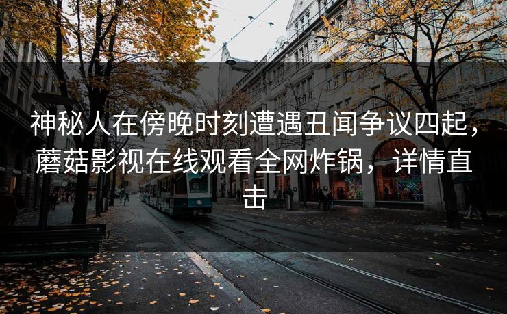 神秘人在傍晚时刻遭遇丑闻争议四起，蘑菇影视在线观看全网炸锅，详情直击